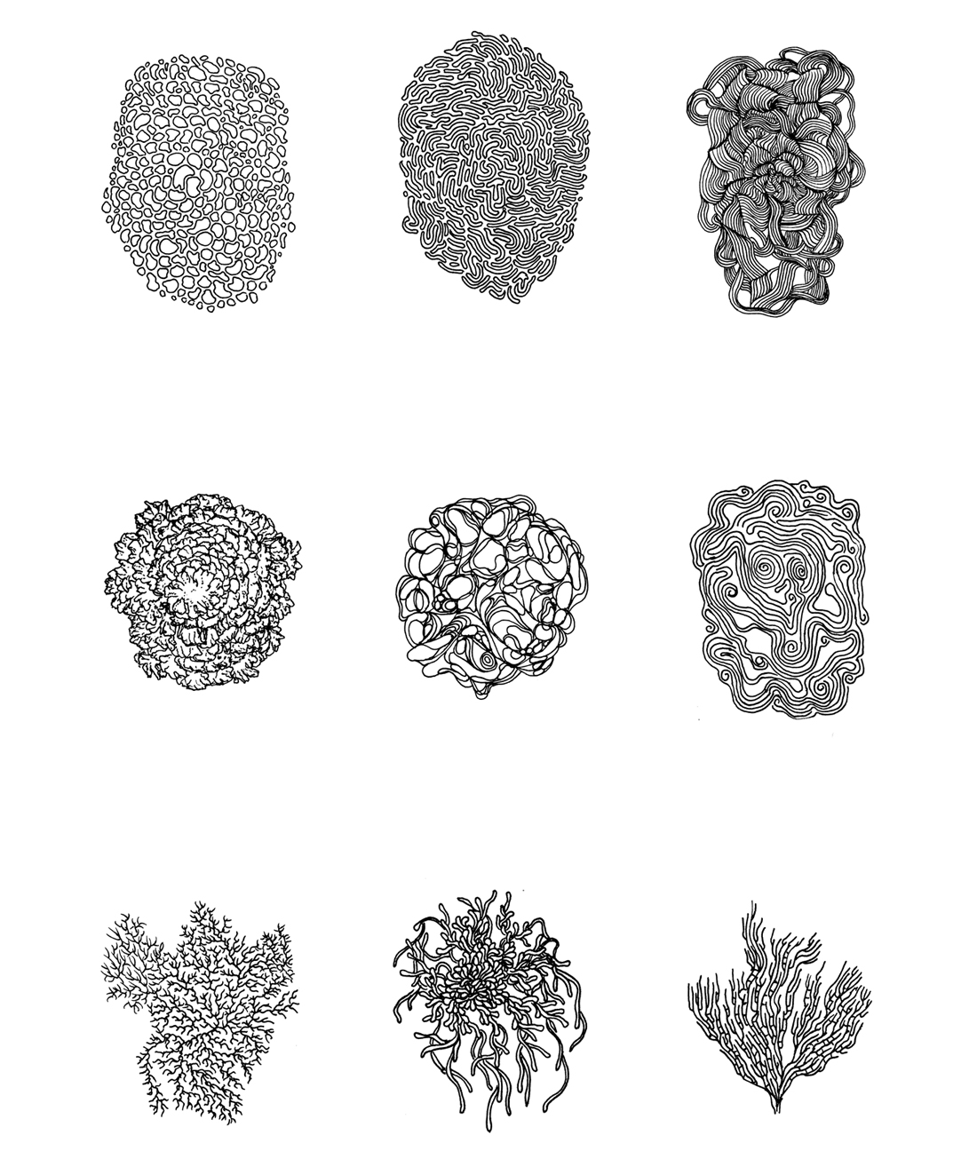 GENERATIVE FORM COLLECTION / INK DRAWINGS – different, various rulesets