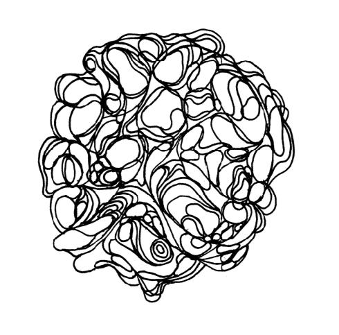 lines