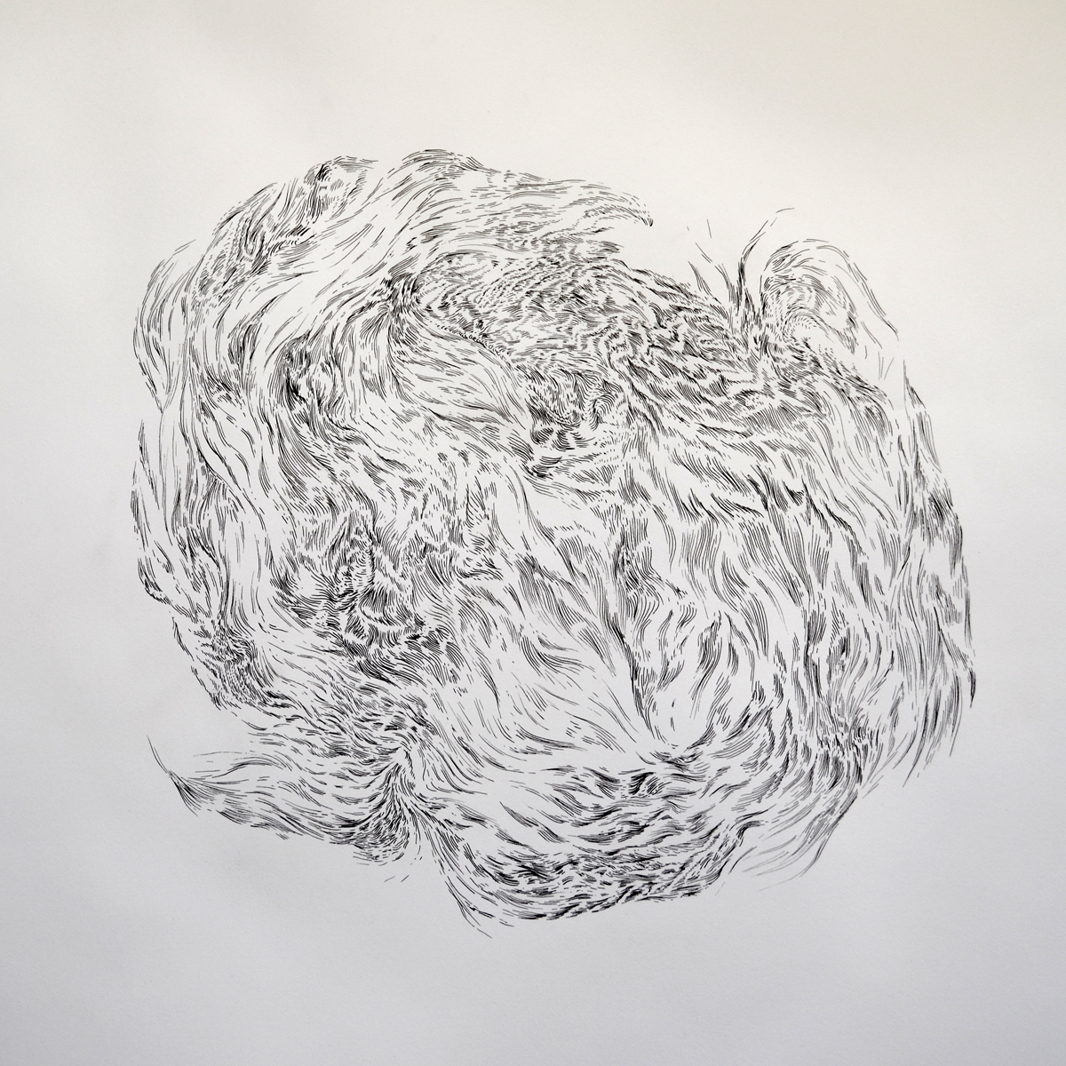Masse, Energie, Higgsfeld – 700x700mm – ink pen on bristol board