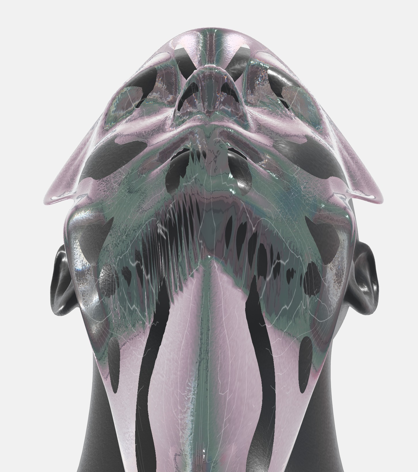 Screenshot_317.jpg