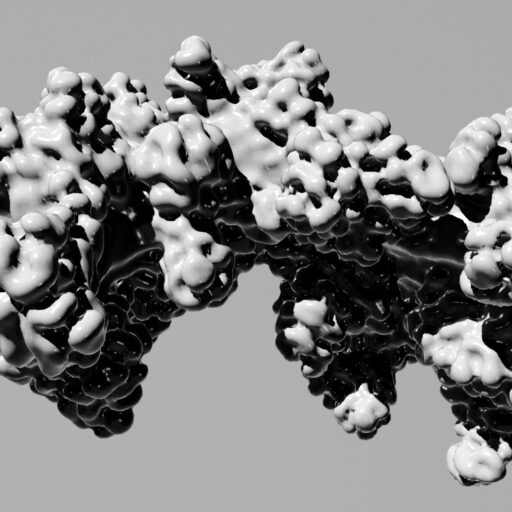 differential growth simulation / fungii growth simulation